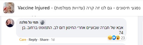  מלכה.jpg