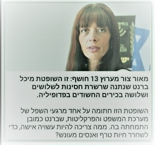  שופטת מחוזית נתנה חסינות ל33 פדופילים   הזוי .jpg